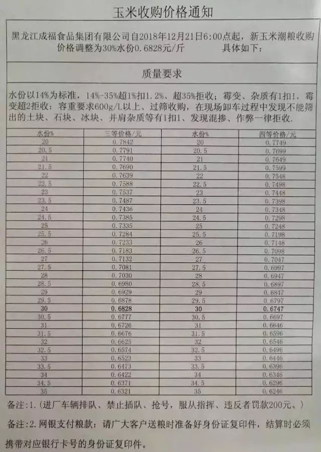 菏泽玉米价格最新动态及分析